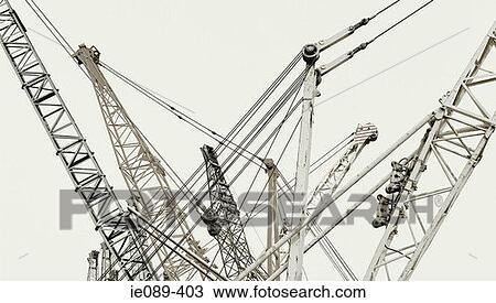 Cranes View Large Photo Image Stock Image - Cranes. Fotosearch