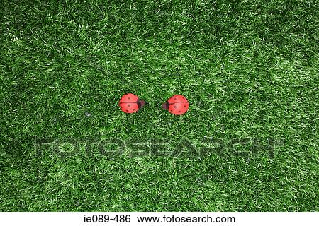 Two toy ladybirds View Large Photo Image Stock Photograph - Two toy ladybirds. Fotosearch