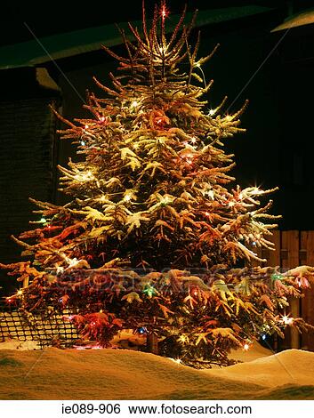 Stock Photograph - Christmas tree. Fotosearch