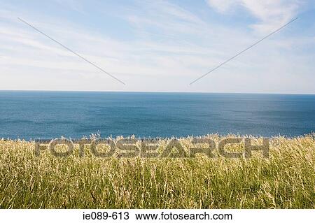 Coast View Large Photo Image Stock Image - Coast. Fotosearch