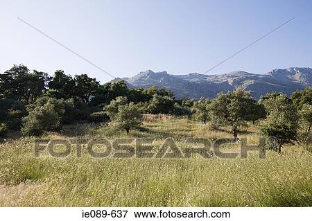 Countryside View Large Photo Image Stock Photo - Countryside. Fotosearch
