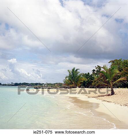 A beach on roatan honduras View Large Photo Image Stock Photography - A beach on roatan honduras. Fotosearch