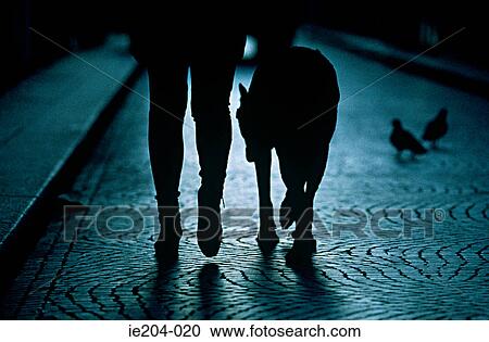 A person walking their dog View Large Photo Image Stock Image - A person walking their dog. Fotosearch