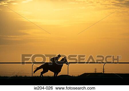 A silhouette of a jockey riding a horse View Large Photo Image Stock Photograph - A silhouette of a jockey riding a horse. Fotosearch