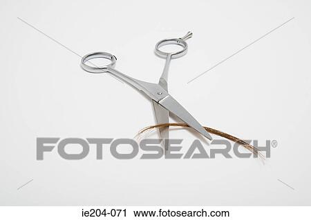 Scissors cutting hair View Large Photo Image Stock Image - Scissors cutting hair. Fotosearch