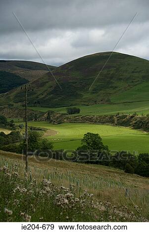 Stock Photo - Scottish landscape. Fotosearch