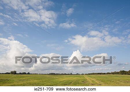 Field and sky View Large Photo Image Stock Photo - Field and sky. Fotosearch
