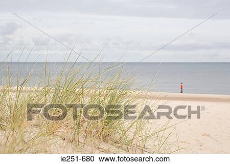 Person on a beach View Large Photo Image Stock Image - Person on a beach. Fotosearch