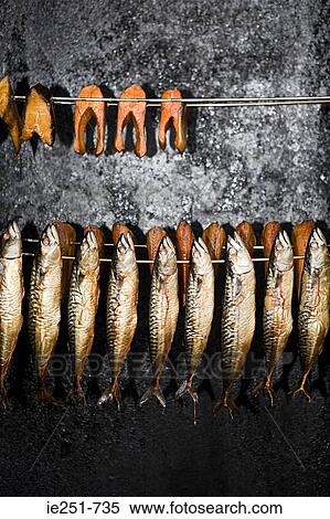 Smoked salmon and herring View Large Photo Image Stock Photography - Smoked salmon and herring. Fotosearch