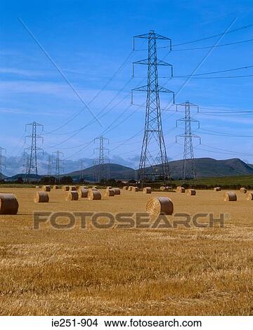 Field and electrical towers View Large Photo Image Picture - Field and electrical towers. Fotosearch