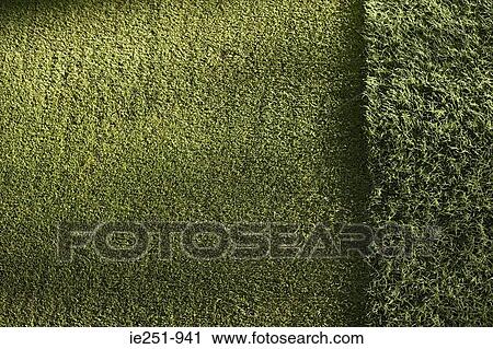 Golf green View Large Photo Image Stock Image - Golf green. Fotosearch