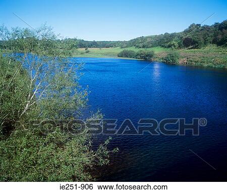 House by a river View Large Photo Image Stock Photograph - House by a river. Fotosearch