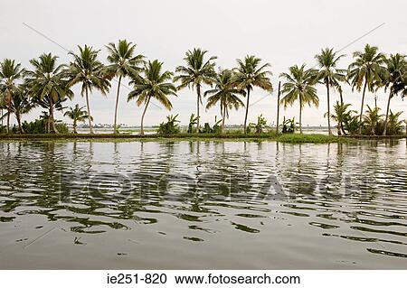Stock Image - Kerala backwaters. Fotosearch