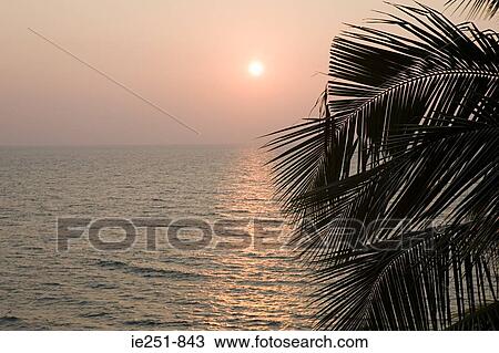 Palm leaves and sunset over the sea View Large Photo Image Stock Image - Palm leaves and sunset over the sea. Fotosearch