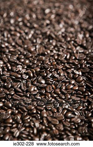 Coffee beans View Large Photo Image Stock Photo - Coffee beans. Fotosearch