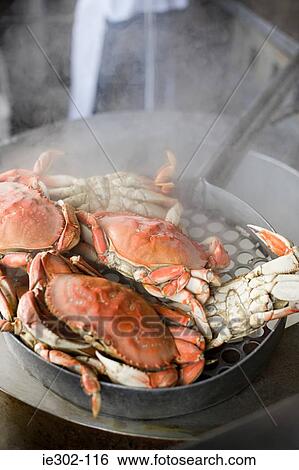 Crabs cooking View Large Photo Image Stock Photograph - Crabs cooking. Fotosearch
