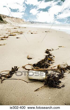 Discarded can on a sandy beach View Large Photo Image Stock Image - Discarded can on a sandy beach. Fotosearch