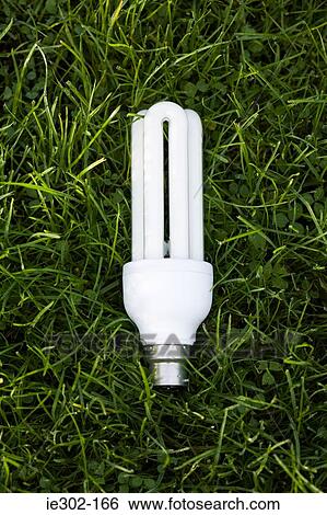 Energy saving lightbulb on grass View Large Photo Image Stock Photograph - Energy saving lightbulb on grass. Fotosearch