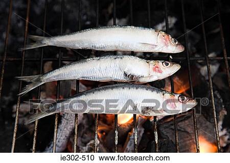 Fish on barbecue View Large Photo Image Stock Image - Fish on barbecue. Fotosearch