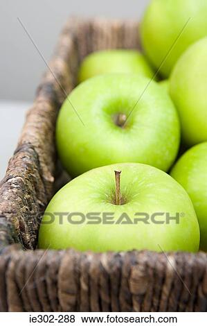 Green apples in a basket View Large Photo Image Stock Photo - Green apples in a basket. Fotosearch