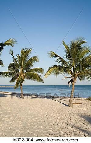 Idyllic beach View Large Photo Image Picture - Idyllic beach. Fotosearch