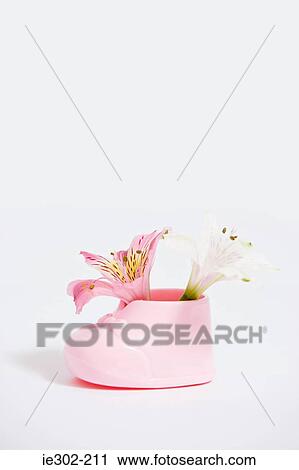 Lilies in baby shoe View Large Photo Image Stock Image - Lilies in baby shoe. Fotosearch