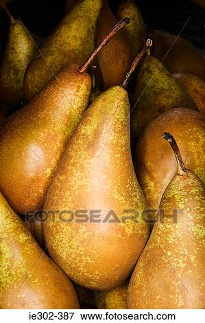 Pears View Large Photo Image Stock Photo - Pears. Fotosearch