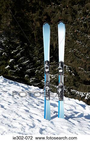 Skis in snow View Large Photo Image Stock Image - Skis in snow. Fotosearch