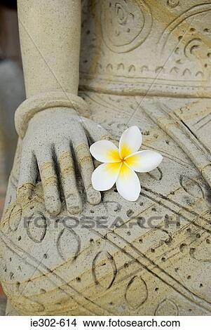 Picture - Statue with a flower. Fotosearch