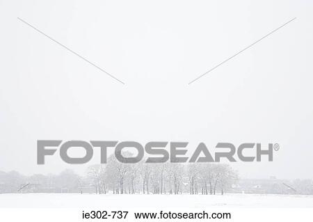 A snowy day View Large Photo Image Stock Photo - A snowy day. Fotosearch