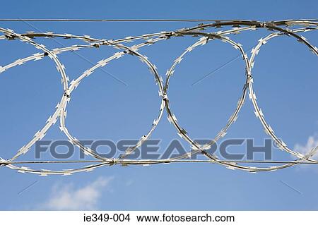 Barbed wire View Large Photo Image Picture - Barbed wire . Fotosearch