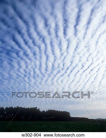Clouds in the sky over a field View Large Photo Image Picture - Clouds in the sky over a field. Fotosearch
