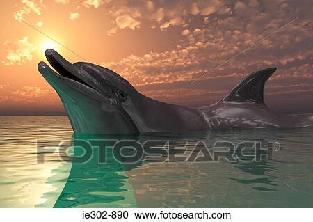 Dolphin View Large Photo Image Stock Image - Dolphin . Fotosearch