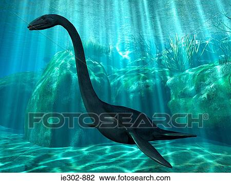 Elasmosaurus View Large Photo Image Stock Image - Elasmosaurus. Fotosearch