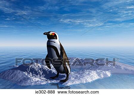 Stock Photo - Penguin. Fotosearch
