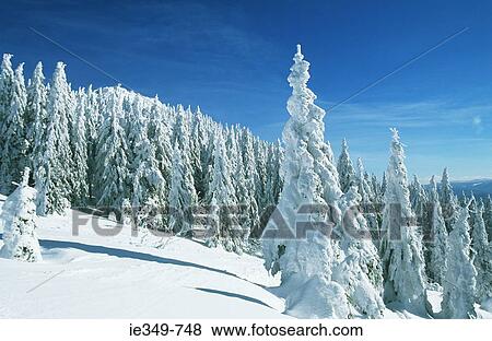 Stock Photo - Beautiful winter scene. Fotosearch