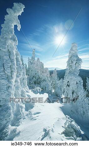 Beautiful winter scene View Large Photo Image Stock Photograph - Beautiful winter scene. Fotosearch