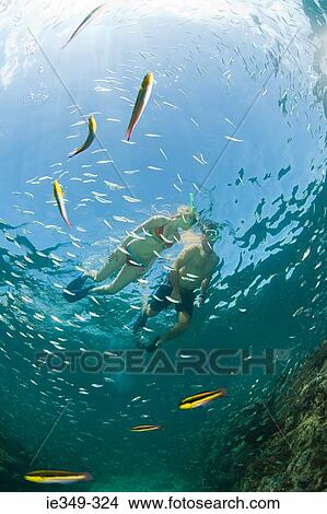 Couple snorkelling View Large Photo Image Picture - Couple snorkelling. Fotosearch