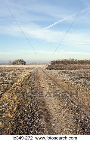 Frosty field View Large Photo Image Stock Image - Frosty field. Fotosearch