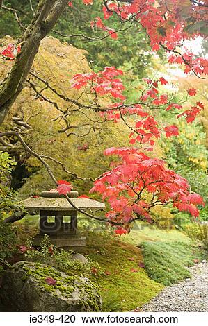 Japanese garden View Large Photo Image Stock Image - Japanese garden. Fotosearch