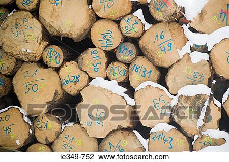 Stock Image - Logs with markings. Fotosearch