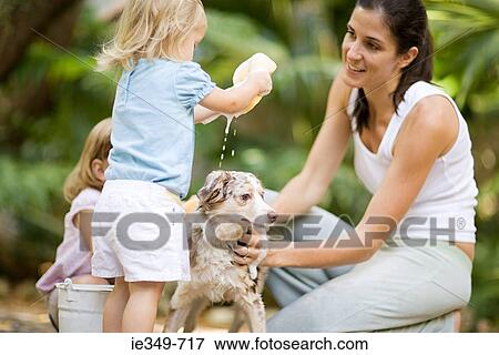 Mother and daughters washing dog View Large Photo Image Stock Photo - Mother and daughters washing dog. Fotosearch