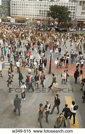 People on pedestrian crossing in tokyo View Large Photo Image Stock Photography - People on pedestrian crossing in tokyo. Fotosearch