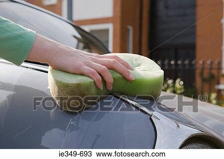 Person washing car View Large Photo Image Stock Image - Person washing car. Fotosearch