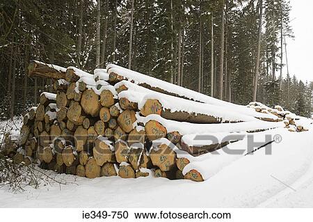 Stock Image - Snow covered logs. Fotosearch