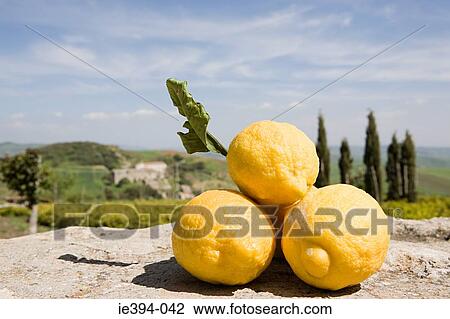 Sicilian lemons View Large Photo Image Stock Image - Sicilian lemons. Fotosearch