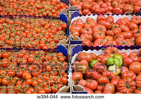 Tomatoes in catania market View Large Photo Image Picture - Tomatoes in catania market. Fotosearch