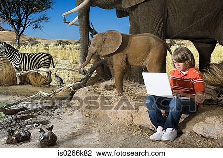 Boy using a laptop in a museum View Large Photo Image Stock Image - Boy using a laptop in a museum. Fotosearch