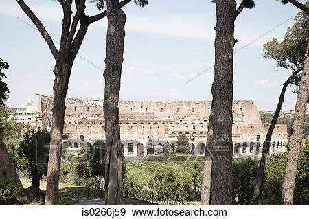 Colosseum in rome View Large Photo Image Stock Photo - Colosseum in rome. Fotosearch
