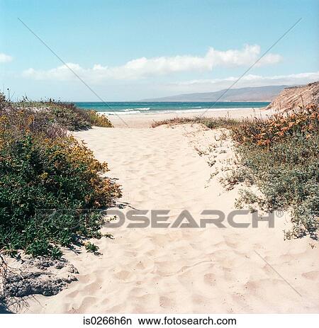 Picture - Empty sandy beach in California. Fotosearch